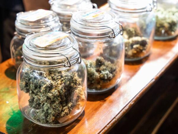 Why Should I Choose A Licensed Weed Dispensary?
