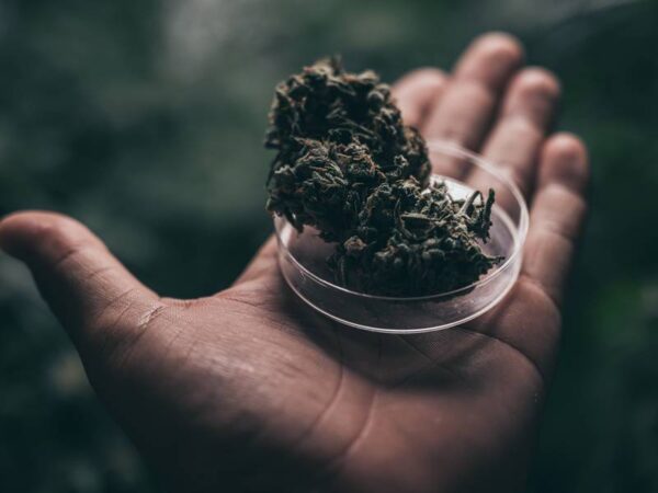 What Does A Weed Dispensary Offer?